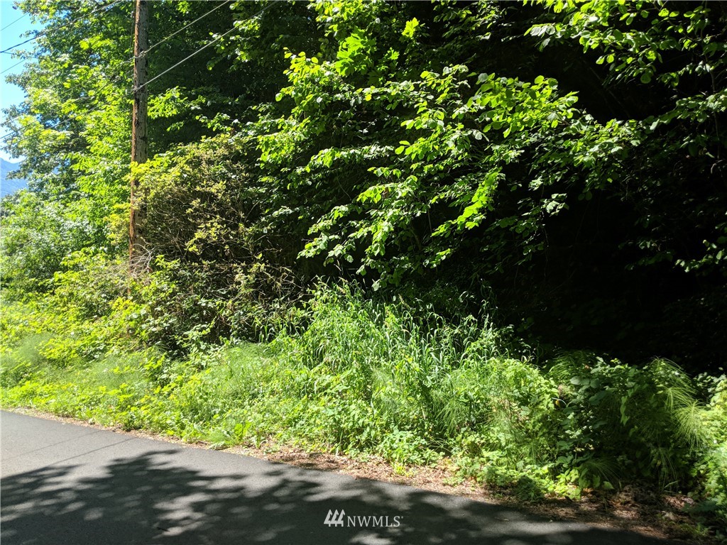 0 XXX Dillard Avenue, Concrete, WA 98237, ,Land,For Sale,Dillard,NWM1328754
